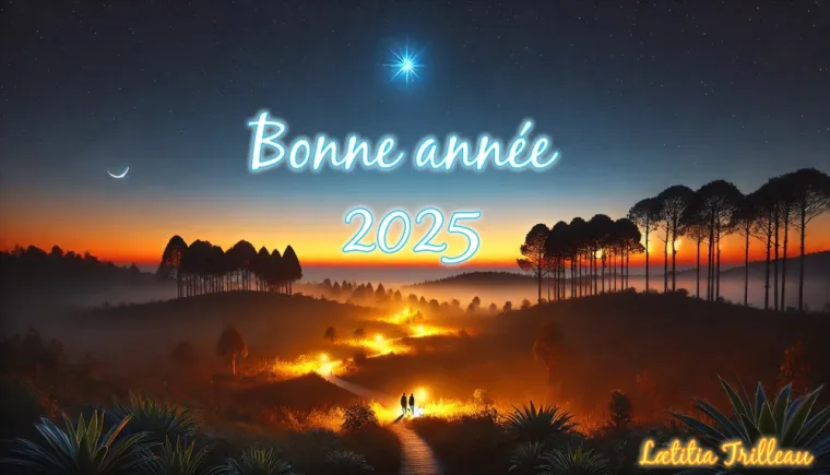 Etoile du levant, conseil en organisation, coaching professionnel et mentorat à Grasse vous souhaite une bonne année 2025