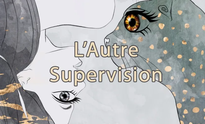 L'autre supervision, supervision pour coach investi dans un chemin d'excellence et de conscience