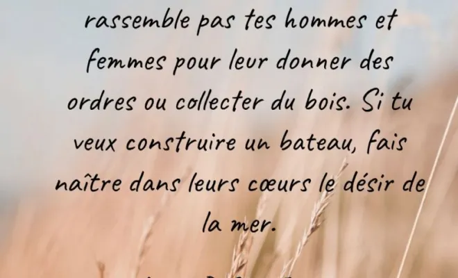 Accompagnement et coaching, Grasse, Etoile du Levant