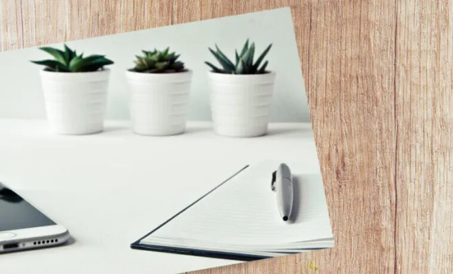 Accompagnement et coaching, Grasse, Etoile du Levant