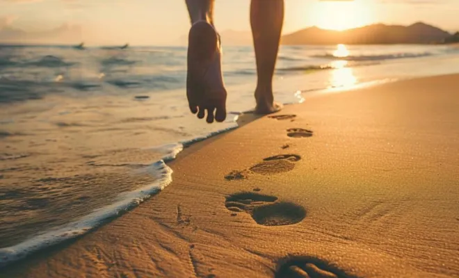 Accompagnement et coaching, Grasse, Etoile du Levant